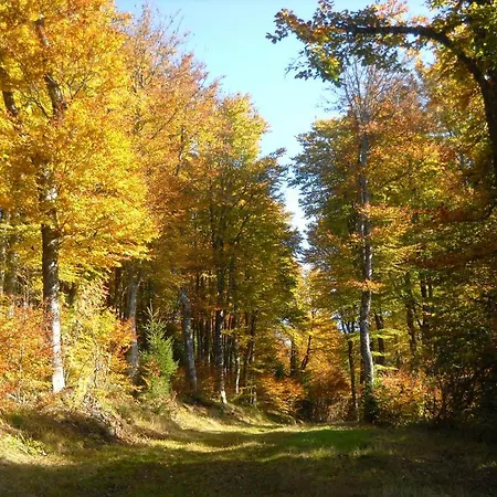 Gergovia Super Besse